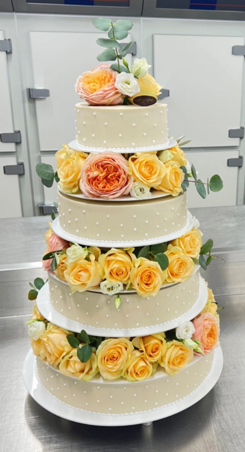 Cake