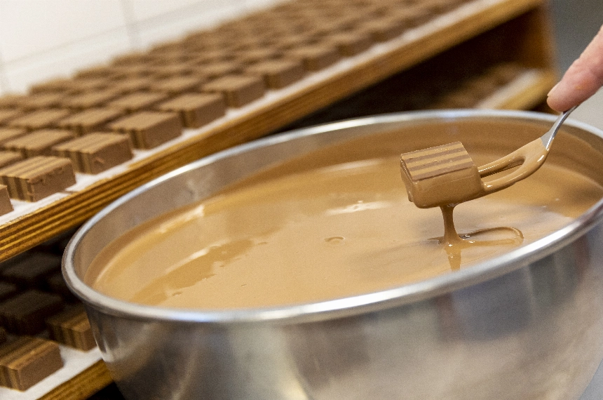 Leer de kneepjes van het vak... Workshops 2026 staan nu online